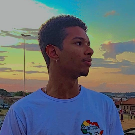 Otávio Henrique da Silva Lemes