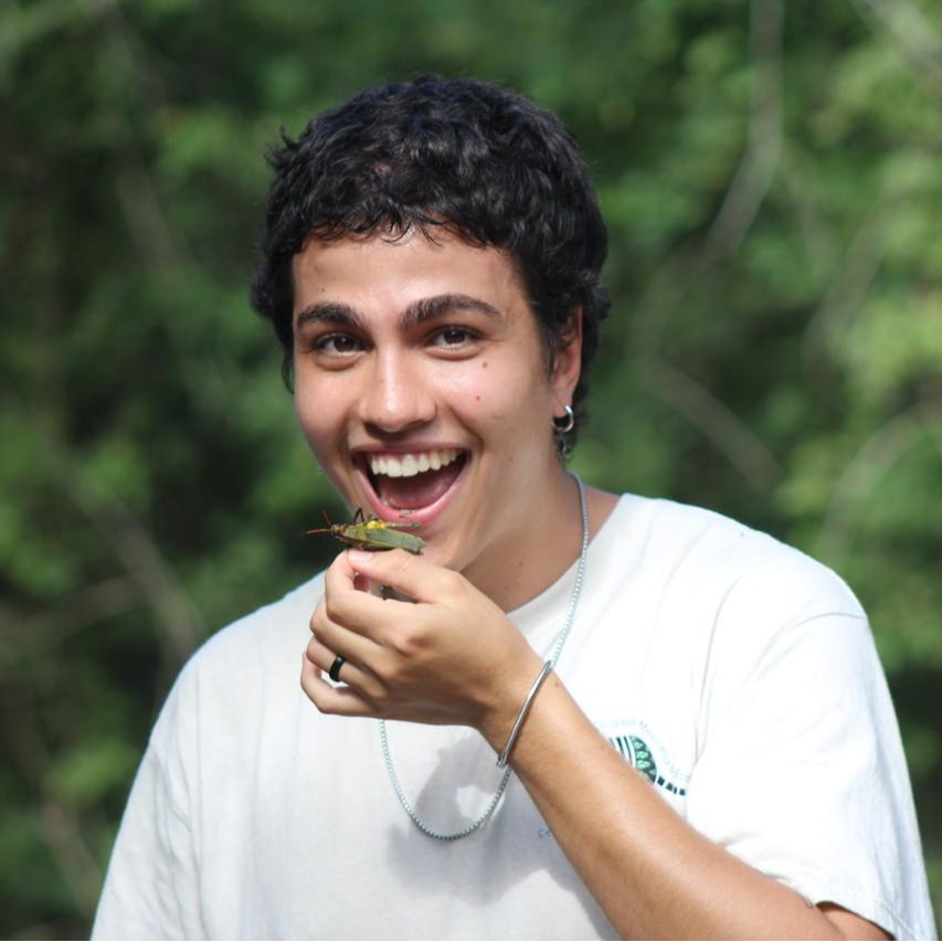 Davi Vilaça Carvalho